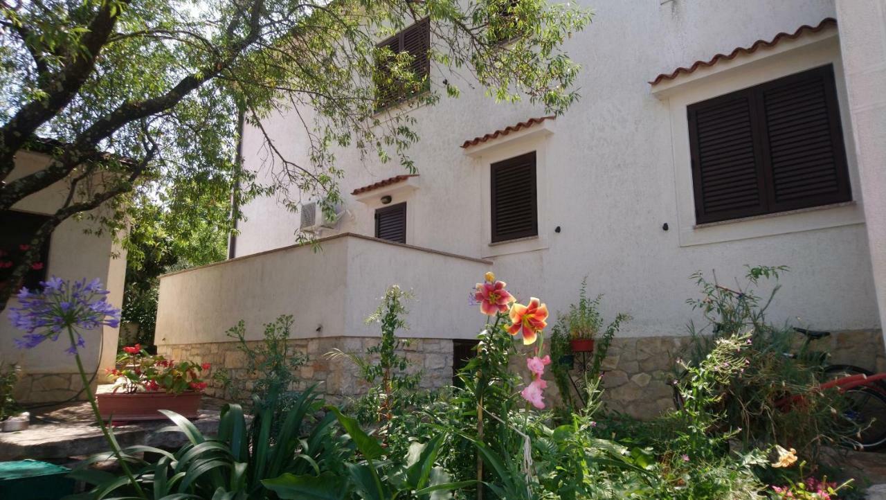 Tar-Vabriga Apartman Dino מראה חיצוני תמונה